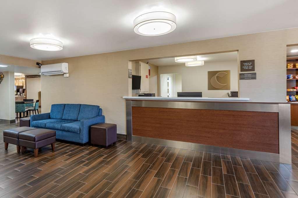Comfort Inn University Wilmington Interiør bilde